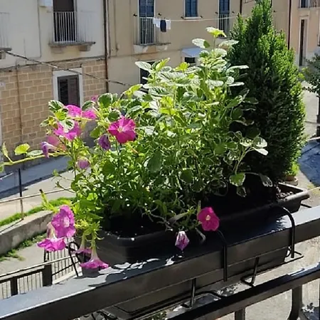 Panzió Armonia Sulmona