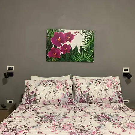 Armonia 住宿加早餐酒店 苏尔莫纳