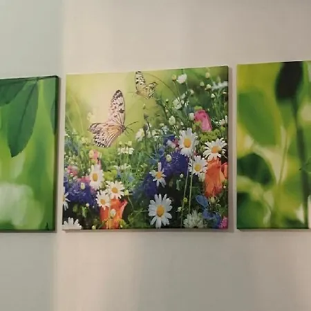 Armonia فندق مبيت وإفطار سولمونا