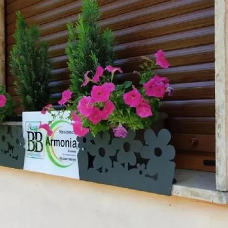 Armonia سولمونا