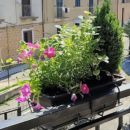 Armonia 3* Sulmona