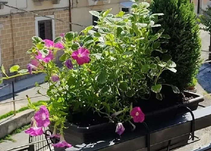 Bed & Breakfast Armonia Sulmona